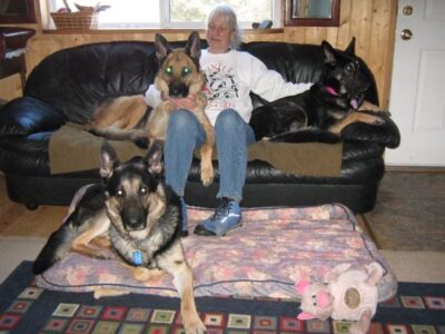 Remote Homesteading With Dogs Image